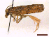  ( - CLV45196)  @11 [ ] CreativeCommons  Attribution Non-Commercial Share-Alike (2022) Carlos Lopez Vaamonde Institut National de la Recherche Agronomique, Zoologie Forestiere