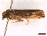  ( - CLV4521023)  @11 [ ] CreativeCommons  Attribution Non-Commercial Share-Alike (2022) Carlos Lopez Vaamonde Institut National de la Recherche Agronomique, Zoologie Forestiere