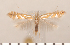  ( - CLV2679)  @14 [ ] Copyright (2011) David C. Lees Research Collection of David C. Lees