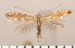  ( - CLV2682)  @14 [ ] Copyright (2011) David C. Lees Research Collection of David C. Lees