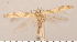  ( - CLV2698)  @12 [ ] Copyright (2011) David C. Lees Research Collection of David C. Lees