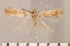  ( - CLV2718)  @13 [ ] Copyright (2011) David C. Lees Research Collection of David C. Lees