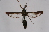  ( - CCDB-04686 C10)  @13 [ ] CreativeCommons - Attribution Non-Commercial Share-Alike (2010) Sesiidae Research Group Sesiidae Research Group