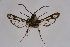  ( - CCDB-02111 C07)  @12 [ ] CreativeCommons - Attribution Non-Commercial Share-Alike (2009) Unspecified Sesiidae Research Group