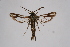  ( - CCDB-02112 D05)  @13 [ ] CreativeCommons - Attribution Non-Commercial Share-Alike (2009) Unspecified Sesiidae Research Group