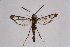  ( - CCDB-02114 D07)  @14 [ ] CreativeCommons - Attribution Non-Commercial Share-Alike (2009) Unspecified Sesiidae Research Group