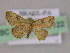  (Idaea AM01Br - BC ZSM Lep 17122)  @13 [ ] CreativeCommons - Attribution Non-Commercial Share-Alike (2010) Unspecified SNSB, Zoologische Staatssammlung Muenchen