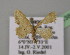  (Idaea BOLD:AAE5595 - BC ZSM Lep 13835)  @13 [ ] CreativeCommons - Attribution Non-Commercial Share-Alike (2010) Unspecified SNSB, Zoologische Staatssammlung Muenchen