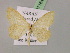  (Idaea rufariaAH01Ir - BC ZSM Lep 07164)  @14 [ ] CreativeCommons - Attribution Non-Commercial Share-Alike (2010) Unspecified SNSB, Zoologische Staatssammlung Muenchen