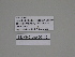  ( - SE MNC Lep 00110)  @12 [ ] Copyright (2010) Unspecified Museum fuer Naturkunde, Chemnitz