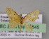  (Idaea arhostiodesAH03Ec - BC ZSM Lep 04545)  @13 [ ] CreativeCommons - Attribution Non-Commercial Share-Alike (2010) Unspecified SNSB, Zoologische Staatssammlung Muenchen