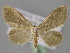  (Idaea palaestinensis - BC ZSM Lep 23623)  @14 [ ] CreativeCommons - Attribution Non-Commercial Share-Alike (2010) Unspecified SNSB, Zoologische Staatssammlung Muenchen