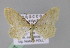  (Idaea terminolineata - BC ZSM Lep 23657)  @14 [ ] CreativeCommons - Attribution Non-Commercial Share-Alike (2010) Unspecified SNSB, Zoologische Staatssammlung Muenchen