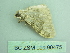  ( - BC ZSM Lep 90475)  @12 [ ] CreativeCommons - Attribution Non-Commercial Share-Alike (2016) Axel Hausmann/Bavarian State Collection of Zoology (ZSM) SNSB, Zoologische Staatssammlung Muenchen