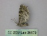  (Eupithecia AH29Et - BC ZSM Lep 26179)  @13 [ ] CreativeCommons - Attribution Non-Commercial Share-Alike (2010) Unspecified SNSB, Zoologische Staatssammlung Muenchen