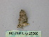  (Eupithecia AH40Pe - BC ZSM Lep 26000)  @12 [ ] CreativeCommons - Attribution Non-Commercial Share-Alike (2010) Unspecified SNSB, Zoologische Staatssammlung Muenchen