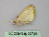  (Perusia AH01Cl - BC ZSM Lep 26799)  @12 [ ] CreativeCommons - Attribution Non-Commercial Share-Alike (2010) Unspecified SNSB, Zoologische Staatssammlung Muenchen