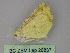  (Microclysia philippii - BC ZSM Lep 26837)  @13 [ ] CreativeCommons - Attribution Non-Commercial Share-Alike (2010) Unspecified SNSB, Zoologische Staatssammlung Muenchen