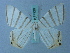  (Opisthoxia metargyria - BC ZSM Lep 74926)  @12 [ ] CreativeCommons - Attribution Non-Commercial Share-Alike (2015) Axel Hausmann/Bavarian State Collection of Zoology (ZSM) SNSB, Zoologische Staatssammlung Muenchen