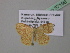  (Heterostegane AH04Ca - BC ZSM Lep 37196)  @13 [ ] CreativeCommons - Attribution Non-Commercial Share-Alike (2010) Axel Hausmann/Bavarian State Collection of Zoology (ZSM) SNSB, Zoologische Staatssammlung Muenchen