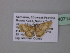  (Idaea AH01GhCa - BC ZSM Lep 40714)  @13 [ ] CreativeCommons - Attribution Non-Commercial Share-Alike (2011) Axel Hausmann/Bavarian State Collection of Zoology (ZSM) SNSB, Zoologische Staatssammlung Muenchen