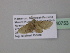  (Idaea AH12GhCa - BC ZSM Lep 40753)  @12 [ ] CreativeCommons - Attribution Non-Commercial Share-Alike (2011) Axel Hausmann/Bavarian State Collection of Zoology (ZSM) SNSB, Zoologische Staatssammlung Muenchen