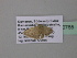  ( - BC ZSM Lep 40765)  @12 [ ] CreativeCommons - Attribution Non-Commercial Share-Alike (2011) Axel Hausmann/Bavarian State Collection of Zoology (ZSM) SNSB, Zoologische Staatssammlung Muenchen