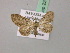  (Eupithecia subfuscataAH01By - BC ZSM Lep 52925)  @11 [ ] CreativeCommons - Attribution Non-Commercial Share-Alike (2011) Axel Hausmann/Bavarian State Collection of Zoology (ZSM) SNSB, Zoologische Staatssammlung Muenchen