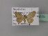  (Idaea AH04Nm - BC ZSM Lep 43175)  @11 [ ] CreativeCommons - Attribution Non-Commercial Share-Alike (2010) Axel Hausmann/Bavarian State Collection of Zoology (ZSM) SNSB, Zoologische Staatssammlung Muenchen