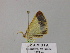  (Zamarada AH08Za - BC ZSM Lep 57121)  @12 [ ] CreativeCommons - Attribution Non-Commercial Share-Alike (2011) Axel Hausmann/Bavarian State Collection of Zoology (ZSM) SNSB, Zoologische Staatssammlung Muenchen