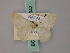  ( - BC ZSM Lep 58942)  @11 [ ] CreativeCommons - Attribution Non-Commercial Share-Alike (2011) Axel Hausmann/Bavarian State Collection of Zoology (ZSM) SNSB, Zoologische Staatssammlung Muenchen