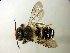  ( - Bee44)  @13 [ ] Copyright (2010) Unspecified Unspecified