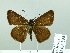  ( - HESP-EB 03 294)  @12 [ ] Copyright (2012) Ersnt Brockmann Research Collection of Ernst Brockmann