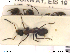  ( - HYMNI115)  @11 [ ] CreativeCommons - Attribution Non-Commercial Share-Alike (2013) Arnstein Staverlokk Norwegian Institute of Nature Research