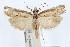  ( - IAWAZ-0591)  @14 [ ] CreativeCommons - Attribution (2009) Unspecified Centre for Biodiversity Genomics