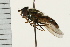  ( - Hcmisc-009)  @12 [ ] CreativeCommons - Attribution (2009) Unspecified Centre for Biodiversity Genomics