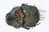  ( - IAvH-E-151442)  @14 [ ] CreativeCommons - Attribution Non-Commercial (2015) Instituto Humboldt IAvH Instituto de Investigacion de Recursos Biologicos Alexander von Humboldt