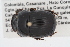  ( - IAvH-E-159728)  @11 [ ] CreativeCommons - Attribution Non-Commercial (2015) Instituto Humboldt IAvH Instituto de Investigacion de Recursos Biologicos Alexander von Humboldt