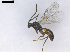  ( - D17P4)  @13 [ ] CreativeCommons  Attribution Non-Commercial Share-Alike (2019) Elisabeth Herniou Insitut de Recherche sur la Biologie de l'Insecte