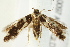  ( - IM12-0097)  @14 [ ] CreativeCommons - Attribution (2012) CBG Photography Group Centre for Biodiversity Genomics