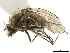  ( - BIOUG47277-E02)  @13 [ ] CreativeCommons - Attribution (2019) CBG Photography Group Centre for Biodiversity Genomics