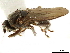  ( - BIOUG47277-G12)  @11 [ ] CreativeCommons - Attribution (2019) CBG Photography Group Centre for Biodiversity Genomics