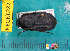  ( - NEONcarabid8282)  @13 [ ] Copyright (2010) National Ecological Observatory Network, Inc. National Ecological Observatory Network (NEON) http://www.neoninc.org/content/copyright