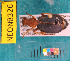  ( - NEONcarabid8326)  @13 [ ] Copyright (2010) National Ecological Observatory Network, Inc. National Ecological Observatory Network (NEON) http://www.neoninc.org/content/copyright