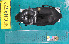  (Harpalus katiae - NEONcarabid8572)  @15 [ ] Copyright (2010) National Ecological Observatory Network, Inc. National Ecological Observatory Network (NEON) http://www.neoninc.org/content/copyright