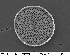  (Coscinodiscus radiatus - IK_MTA99_ITS)  @11 [ ] CreativeCommons - Attribution Non-Commercial Share-Alike (2015) Unspecified Mount Allison University