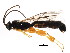  ( - BIOUG01048-E04)  @12 [ ] CreativeCommons - Attribution (2011) CBG Photography Group Centre for Biodiversity Genomics