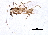  ( - BIOUG01684-F12)  @14 [ ] CreativeCommons - Attribution (2012) CBG Photography Group Centre for Biodiversity Genomics