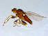  ( - 10PROBE-09374)  @13 [ ] CreativeCommons - Attribution (2011) CBG Photography Group Centre for Biodiversity Genomics