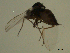  ( - 07PROBE-JW0119)  @12 [ ] CreativeCommons - Attribution (2010) Unspecified Centre for Biodiversity Genomics